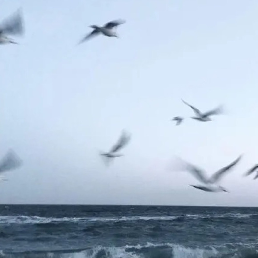 Meet your Posher, Yvette